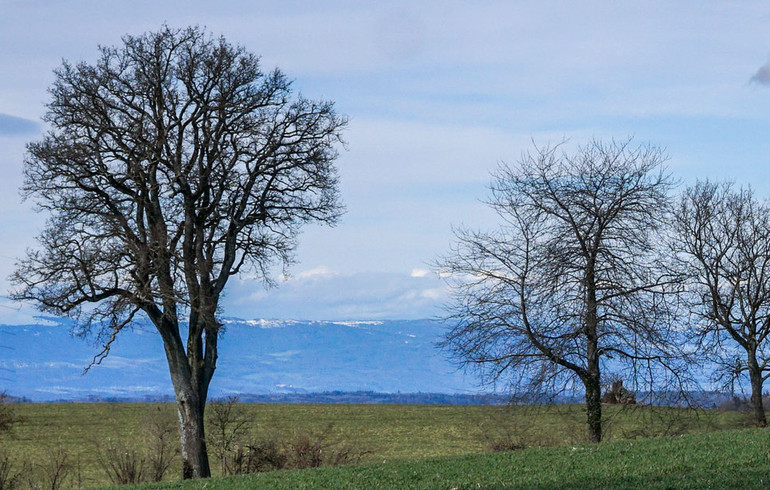 Transition écologique: l’Église catholique à la peine