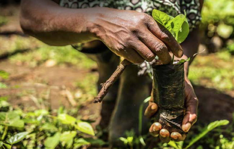 Campagne oecuménique 2023