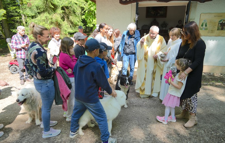 Fête de Saint Fromond
